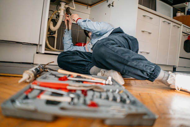 Best Affordable Plumbing Services  in Hortonville, WI