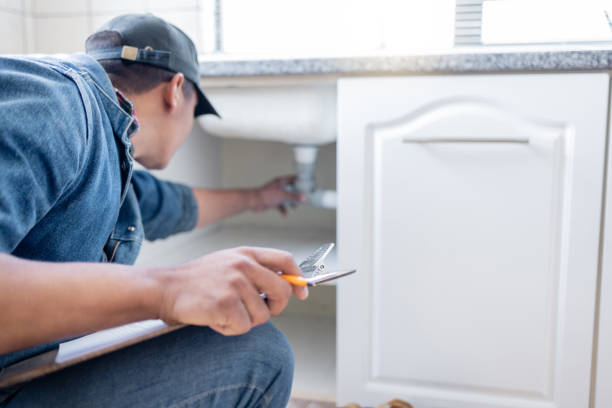 Best Local Plumber Services  in Hortonville, WI